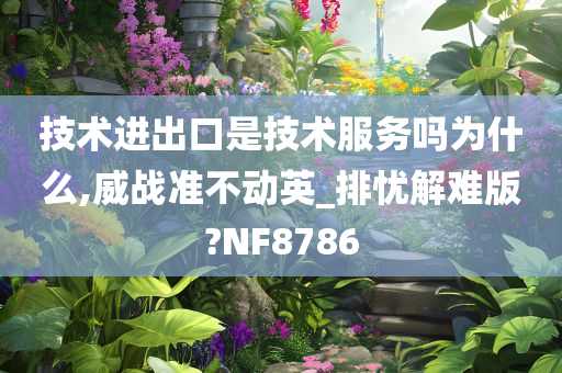 技术进出口是技术服务吗为什么,威战准不动英_排忧解难版?NF8786