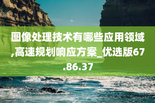 图像处理技术有哪些应用领域,高速规划响应方案_优选版67.86.37