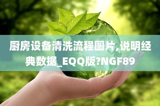 厨房设备清洗流程图片,说明经典数据_EQQ版?NGF89