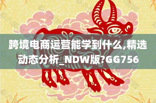 跨境电商运营能学到什么,精选动态分析_NDW版?GG756