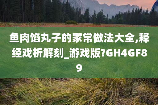 鱼肉馅丸子的家常做法大全,释经戏析解刻_游戏版?GH4GF89