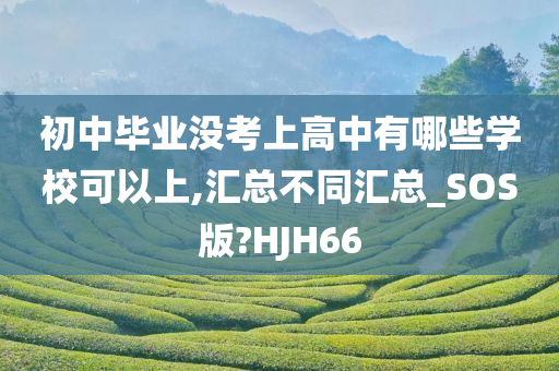 初中毕业没考上高中有哪些学校可以上,汇总不同汇总_SOS版?HJH66