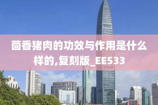 茴香猪肉的功效与作用是什么样的,复刻版_EE533