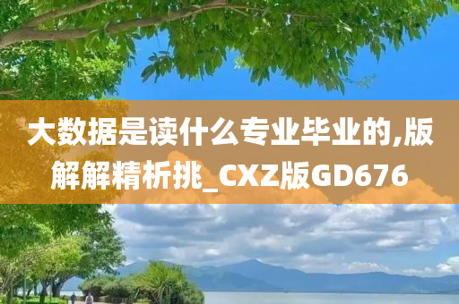 大数据是读什么专业毕业的,版解解精析挑_CXZ版GD676