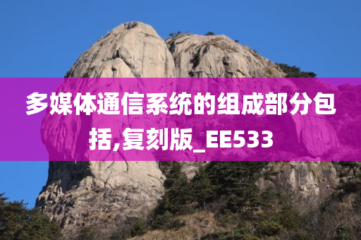 多媒体通信系统的组成部分包括,复刻版_EE533