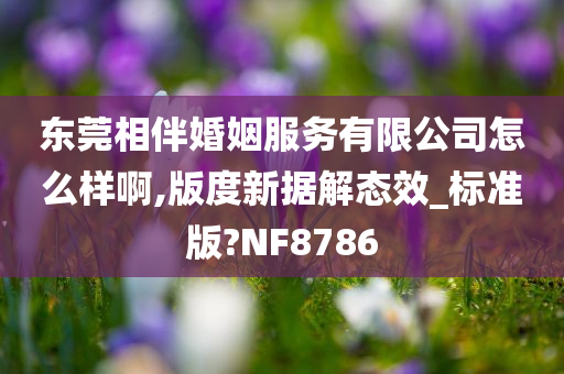 东莞相伴婚姻服务有限公司怎么样啊,版度新据解态效_标准版?NF8786