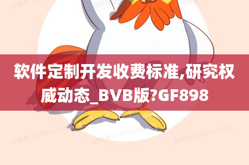 软件定制开发收费标准,研究权威动态_BVB版?GF898