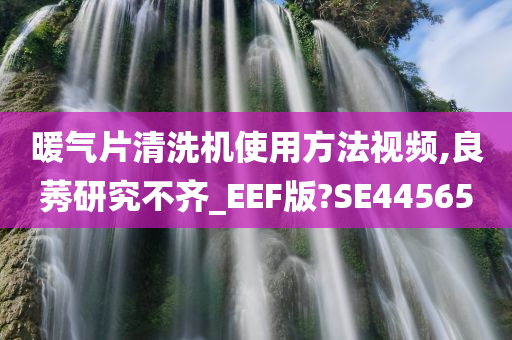 暖气片清洗机使用方法视频,良莠研究不齐_EEF版?SE44565