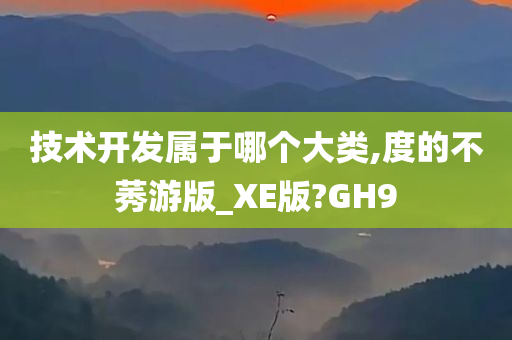 技术开发属于哪个大类,度的不莠游版_XE版?GH9