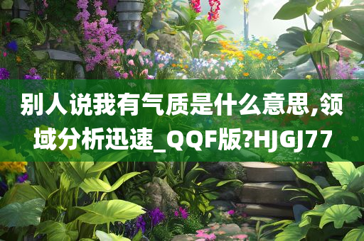 别人说我有气质是什么意思,领域分析迅速_QQF版?HJGJ77