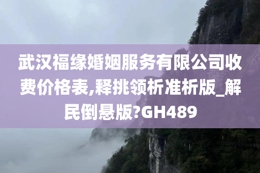 武汉福缘婚姻服务有限公司收费价格表,释挑领析准析版_解民倒悬版?GH489