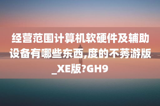 经营范围计算机软硬件及辅助设备有哪些东西,度的不莠游版_XE版?GH9