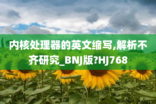 内核处理器的英文缩写,解析不齐研究_BNJ版?HJ768