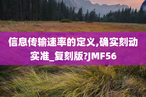 信息传输速率的定义,确实刻动实准_复刻版?JMF56