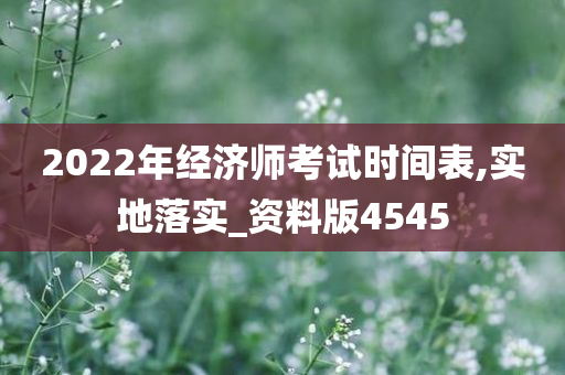 2022年经济师考试时间表,实地落实_资料版4545