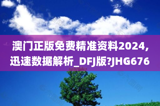 澳门正版免费精准资料2024,迅速数据解析_DFJ版?JHG676