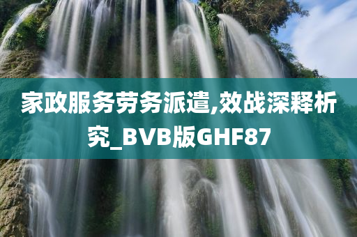 家政服务劳务派遣,效战深释析究_BVB版GHF87