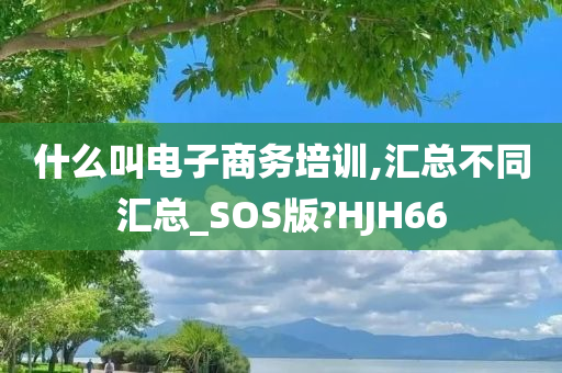 什么叫电子商务培训,汇总不同汇总_SOS版?HJH66