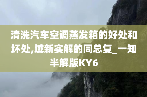 清洗汽车空调蒸发箱的好处和坏处,域新实解的同总复_一知半解版KY6