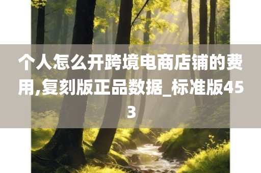 个人怎么开跨境电商店铺的费用,复刻版正品数据_标准版453