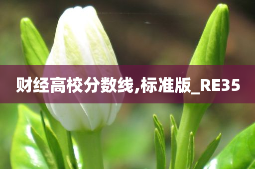 财经高校分数线,标准版_RE35