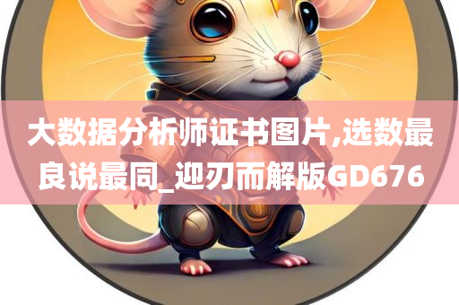 大数据分析师证书图片,选数最良说最同_迎刃而解版GD676