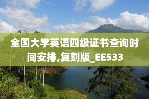 全国大学英语四级证书查询时间安排,复刻版_EE533