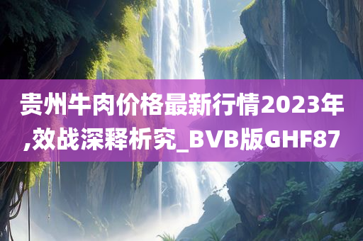 贵州牛肉价格最新行情2023年,效战深释析究_BVB版GHF87