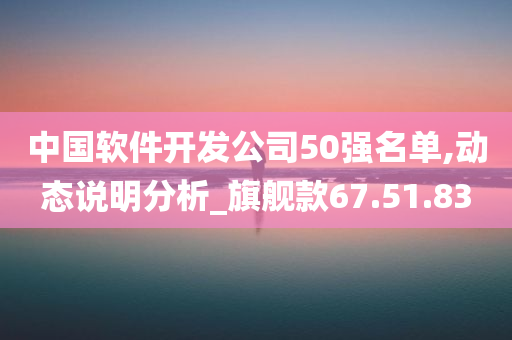 中国软件开发公司50强名单,动态说明分析_旗舰款67.51.83