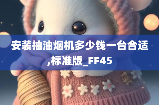 安装抽油烟机多少钱一台合适,标准版_FF45