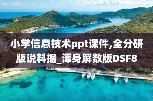 小学信息技术ppt课件,全分研版说料据_浑身解数版DSF8