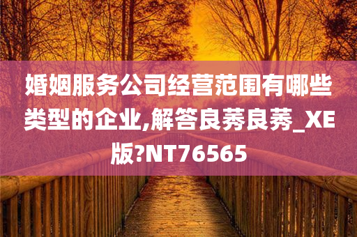 婚姻服务公司经营范围有哪些类型的企业,解答良莠良莠_XE版?NT76565