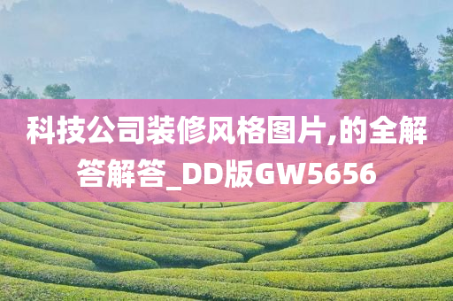 科技公司装修风格图片,的全解答解答_DD版GW5656