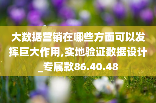 大数据营销在哪些方面可以发挥巨大作用,实地验证数据设计_专属款86.40.48