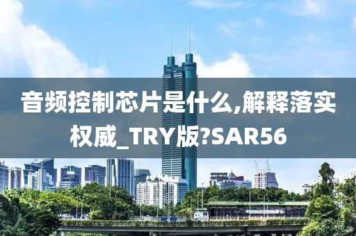 音频控制芯片是什么,解释落实权威_TRY版?SAR56