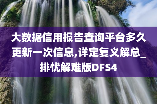 大数据信用报告查询平台多久更新一次信息,详定复义解总_排忧解难版DFS4