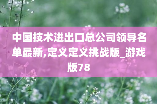 中国技术进出口总公司领导名单最新,定义定义挑战版_游戏版78