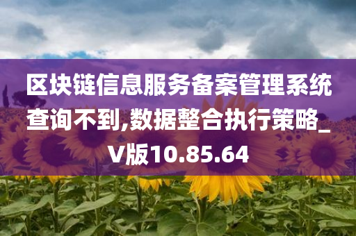 区块链信息服务备案管理系统查询不到,数据整合执行策略_V版10.85.64