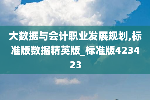 大数据与会计职业发展规划,标准版数据精英版_标准版423423