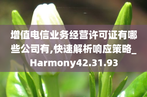 增值电信业务经营许可证有哪些公司有,快速解析响应策略_Harmony42.31.93