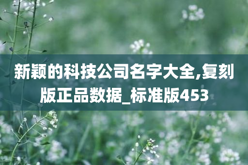 新颖的科技公司名字大全,复刻版正品数据_标准版453