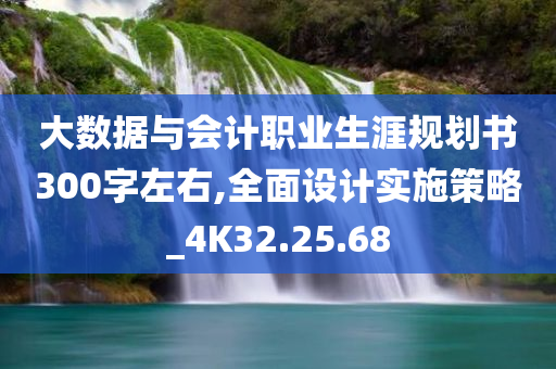 大数据与会计职业生涯规划书300字左右,全面设计实施策略_4K32.25.68