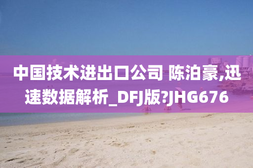 中国技术进出口公司 陈泊豪,迅速数据解析_DFJ版?JHG676