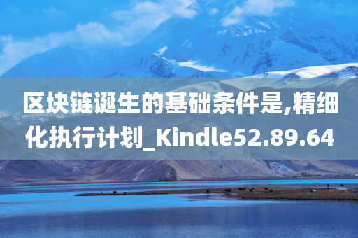 区块链诞生的基础条件是,精细化执行计划_Kindle52.89.64