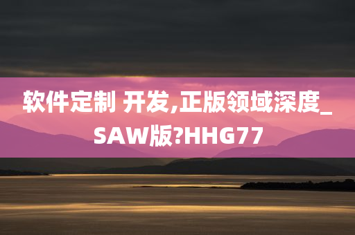 软件定制 开发,正版领域深度_SAW版?HHG77