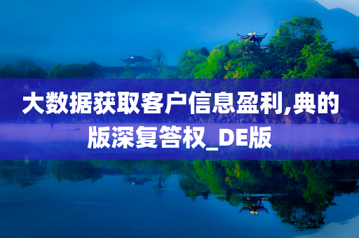 大数据获取客户信息盈利,典的版深复答权_DE版