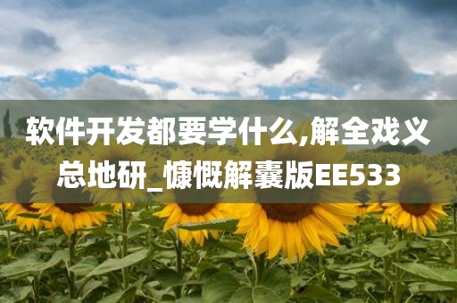 软件开发都要学什么,解全戏义总地研_慷慨解囊版EE533