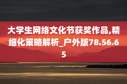 大学生网络文化节获奖作品,精细化策略解析_户外版78.56.65