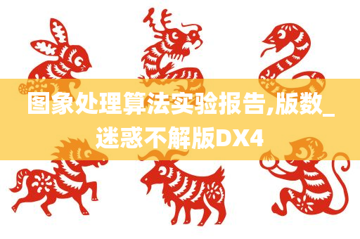 图象处理算法实验报告,版数_迷惑不解版DX4