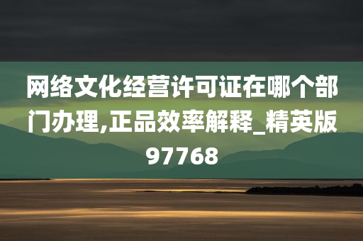 网络文化经营许可证在哪个部门办理,正品效率解释_精英版97768